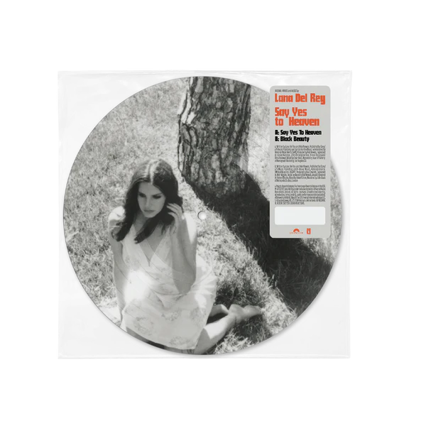 Lana del rey say yes to heaven picture disc vinyl lp record