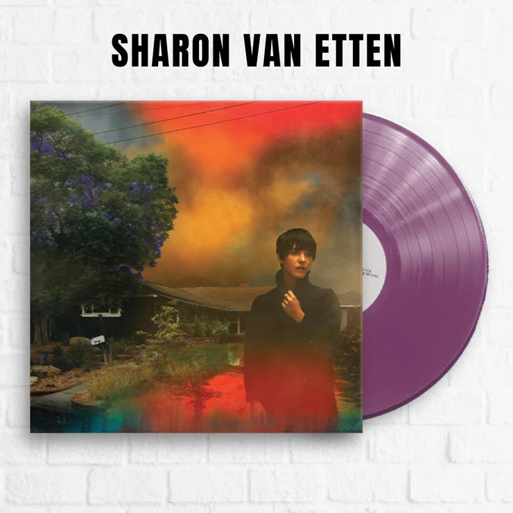 Sharon van etten weve been going about this all wrong album on purple color vinyl lp record