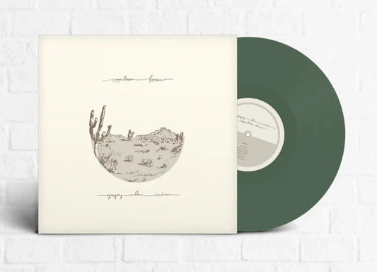 Gregory alan isakov appaloosa bones album on green color vinyl lp record