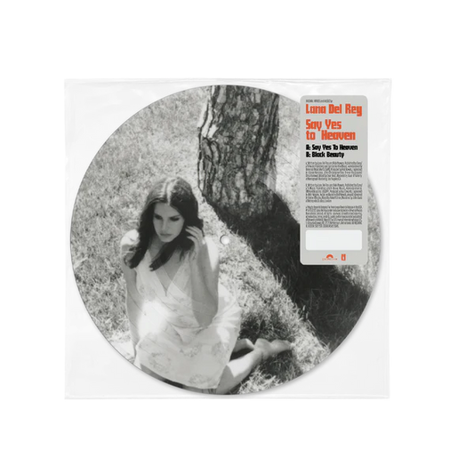 Lana Del Rey Say Yes to Heaven 7 inch vinyl