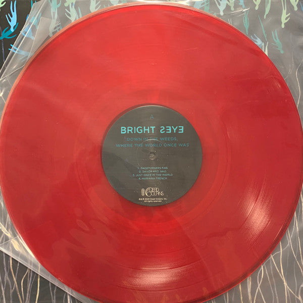 Bright Eyes' "Down In The Weeds, Where The World Once Was" Album On Orange And Red Vinyl LP Record Red Disc